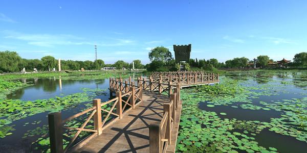 �����Ž�����Ϋ����չ����