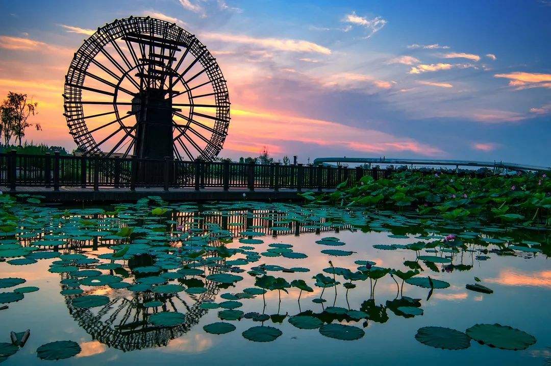 �����Ž�����������չ����